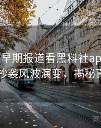 0047. 从早期报道看黑料社app下载官网抄袭风波演变，揭秘真相