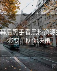 0103. 从幕后黑手看黑料资源抄袭风波演变，助你决策