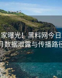 0514. 独家曝光！黑料网今日2022年5月数据泄露与传播路径