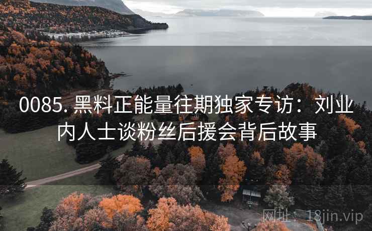 0085. 黑料正能量往期独家专访：刘业内人士谈粉丝后援会背后故事
