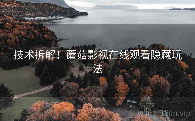 技术拆解！蘑菇影视在线观看隐藏玩法