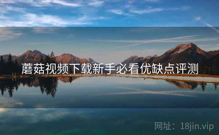 蘑菇视频下载新手必看优缺点评测