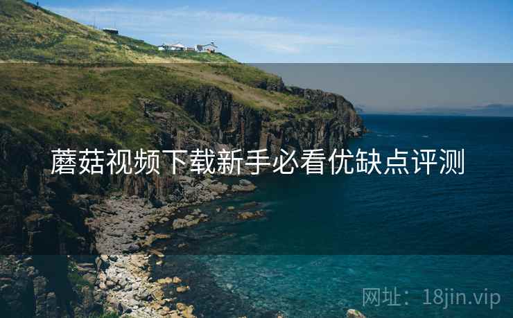 蘑菇视频下载新手必看优缺点评测