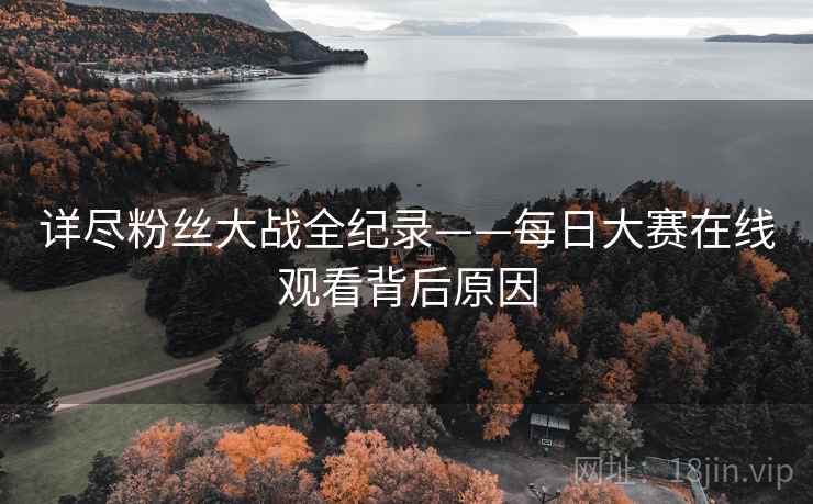 详尽粉丝大战全纪录——每日大赛在线观看背后原因