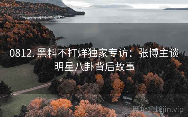 0812. 黑料不打烊独家专访：张博主谈明星八卦背后故事