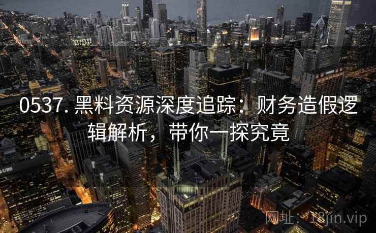 0537. 黑料资源深度追踪：财务造假逻辑解析，带你一探究竟