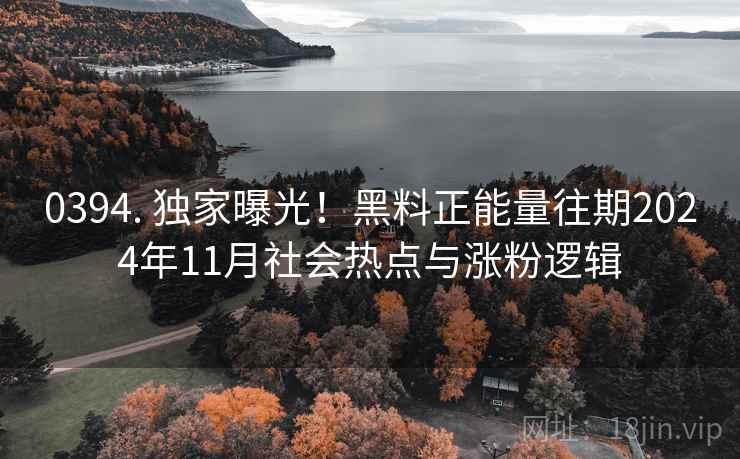 0394. 独家曝光！黑料正能量往期2024年11月社会热点与涨粉逻辑